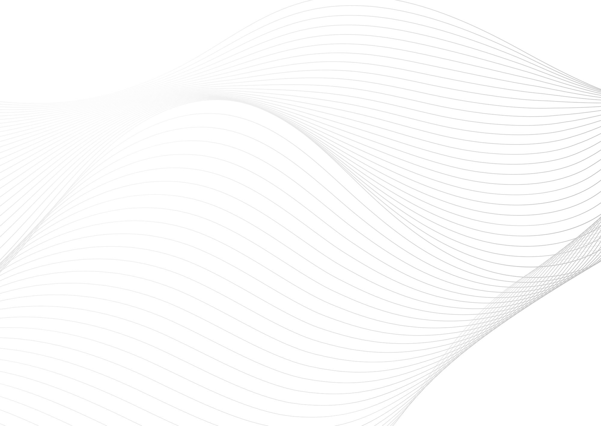 Web Site Tasarımcısı, Yalıhüyük